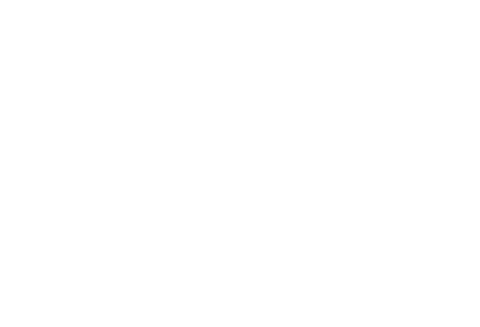 Synel Industries